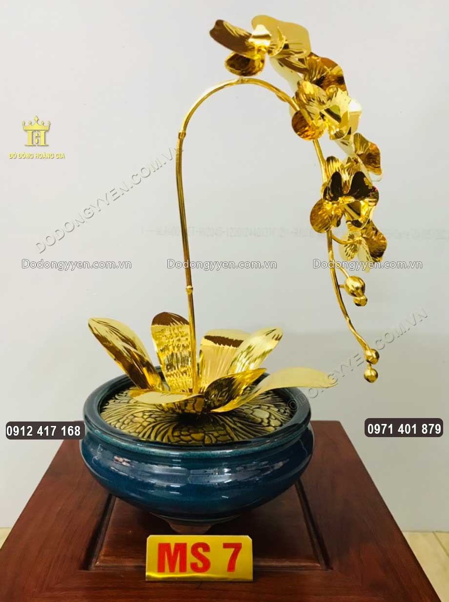 Mẫu chậu hoa Lan 07